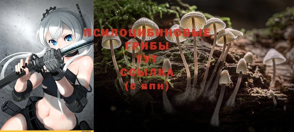 COCAINE Вяземский