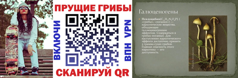 Галлюциногенные грибы мицелий  Купить  Нефтегорск 